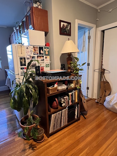 Allston/brighton Border Cozy 1 Bed 1 Bath BOSTON Boston - $2,150