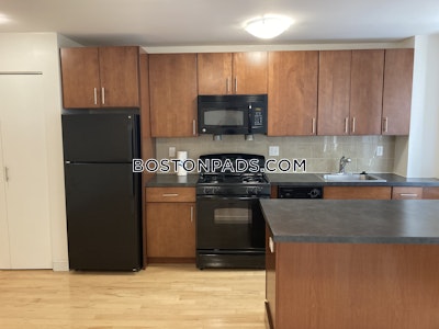 Brighton 1 Bed 1 Bath Boston - $3,001