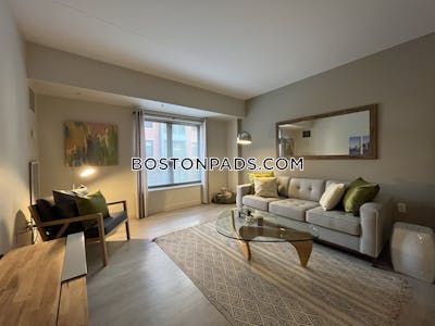 South End Luxury 1 Bed 1 Bath on Harrison Ave. in South End  Boston - $3,345