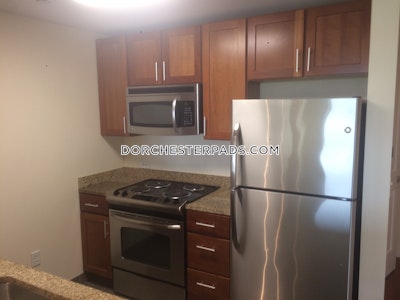 Dorchester Apartment for rent 1 Bedroom 1 Bath Boston - $4,596 No Fee