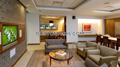 Downtown Apartment for rent 1 Bedroom 1 Bath Boston - $4,122