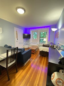 Brookline Apartment for rent 2 Bedrooms 1 Bath  Coolidge Corner - $3,800 No Fee