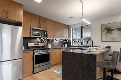 Allston Apartment for rent 1 Bedroom 1 Bath Boston - $3,550