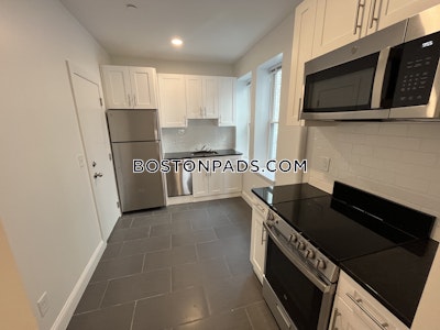 Brighton Apartment for rent 1 Bedroom 1 Bath Boston - $2,695 No Fee