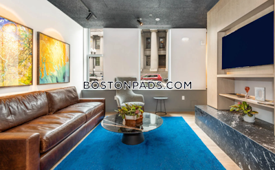 Downtown 1 bedroom 1 baths Luxury in BOSTON Boston - $3,358