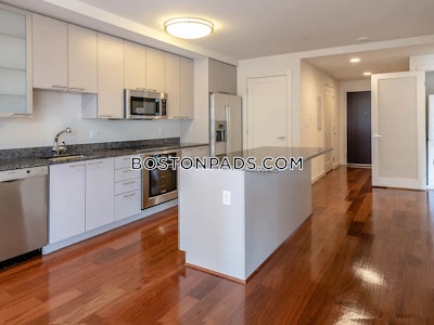 West End Apartment for rent Studio 1 Bath Boston - $2,815