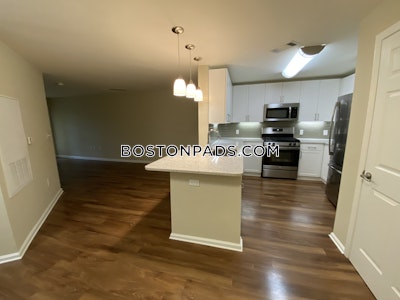 Newton Apartment for rent Studio 1 Bath  Chestnut Hill - $3,005