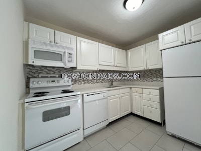 Brookline Apartment for rent 1 Bedroom 1 Bath  Longwood Area - $3,000 No Fee